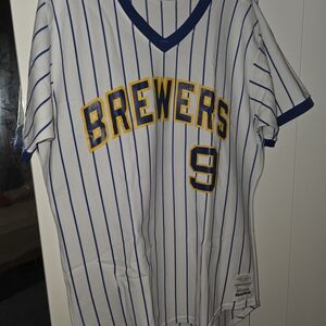 Brewers Adult Jersey Striped Shirt - Blue and White